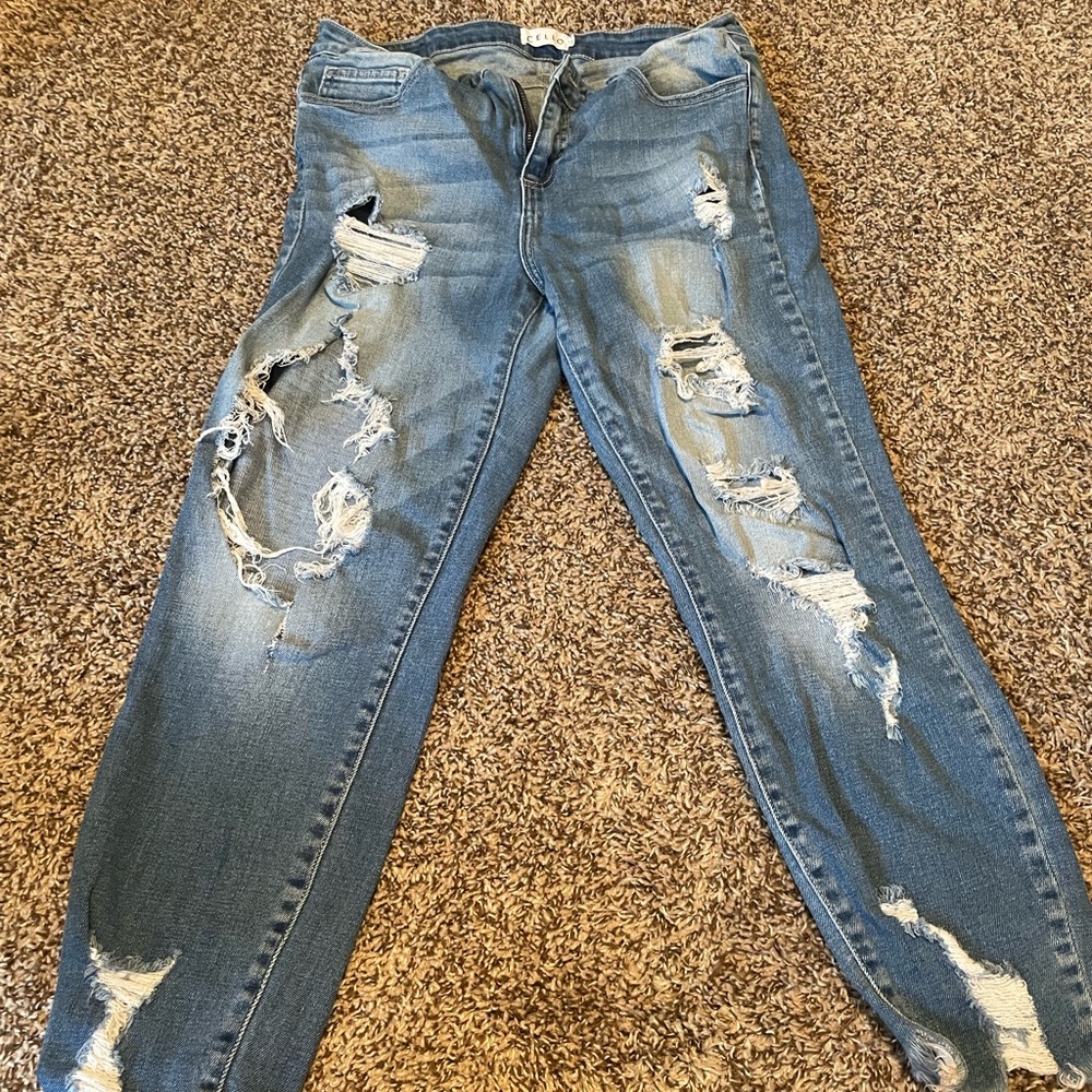 Cello jeans